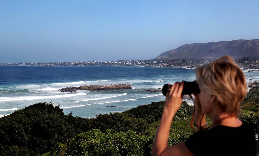 Hermanus Beach Villa Exterior photo